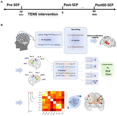 From pulse width modulated TENS to cortical modulation: based on EEG functional connectivity analysis